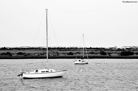_DSC1830